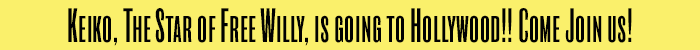 Hook-Banner