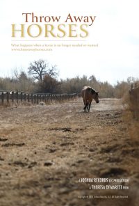 Throwaway Horses - Poppy Poster